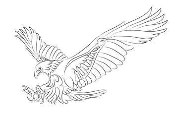 sea eagle tattoo