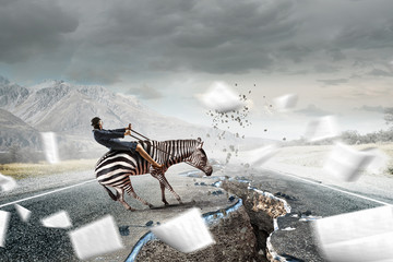 Businesswoman ride zebra . Mixed media