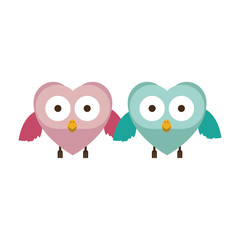 couple of owls holding wings vector illustration
