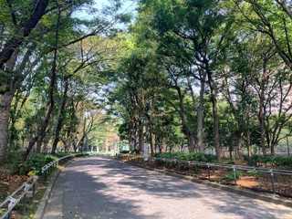street