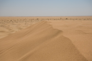 Sandwüste