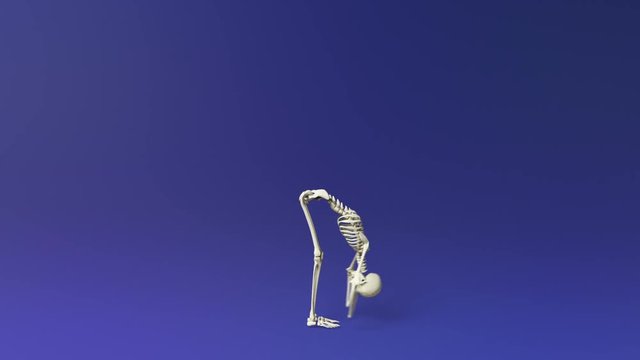 Big Toe Pose Of Human Skeletal