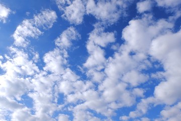 Obraz premium 鱗雲の背景イメージ