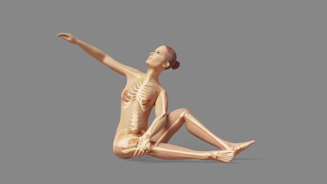 Sitting And Stretching Female With Visible Bones Of The Skeleton + Alpha