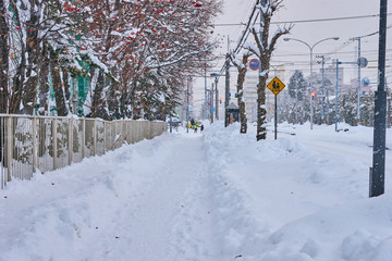 雪の降る通学路
