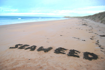 Seaweed Written on Beach in Seaweed