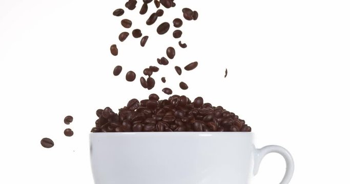 Coffee Beans Falling into a Cup against White Background, Slow Motion 4K