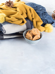 Winter Home relax with plaid and cookies. Vertical