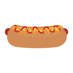 fast food hot dog with sauces vector illustration