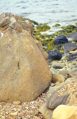 Felsbrocken mit Gesicht liegt am steinigen Strand und blickt auf das Meer, Westfjorde, Island, Europa