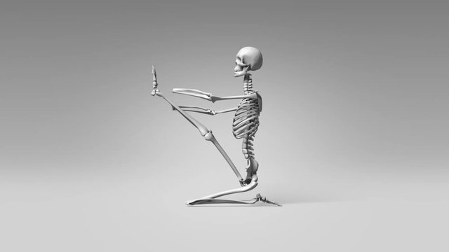 Yoga Heron Pose Of Human Skeletal