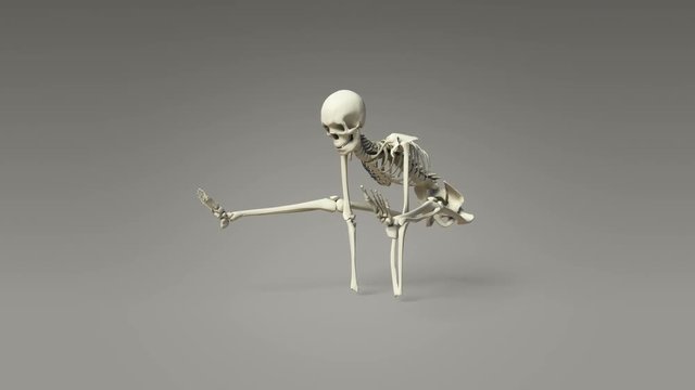 Yoga Firefly Pose Of Human Skeletal