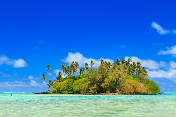 Island in the Muri lagoon, Rarotonga, Cook Islands