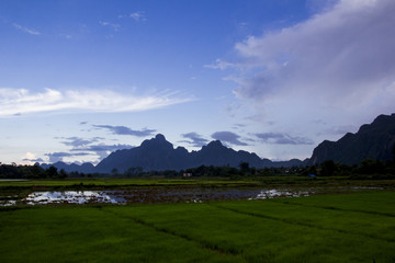 rice field with mountains in the background in laos