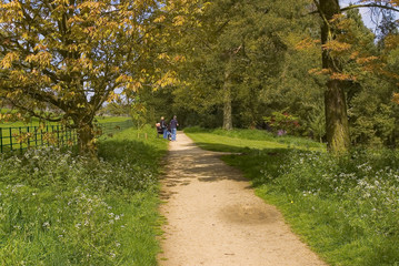 Fototapeta premium grounds of batsford stately home and arboretum cotswolds england