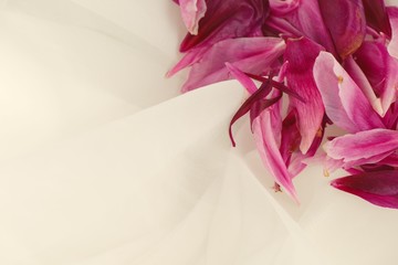 Close-up of pink peony petals on white tulle