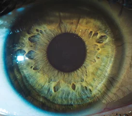 Fototapeten Makro-Augen-Pupillen-Iris-Okulist © dimvix