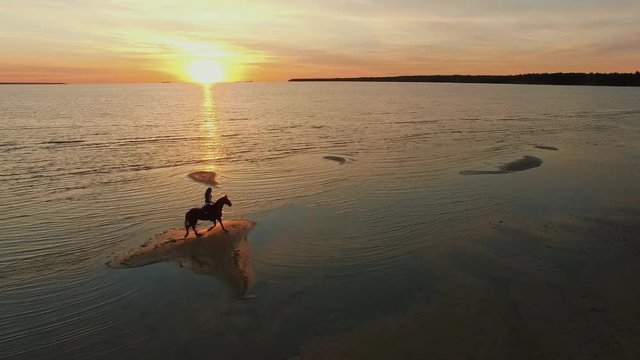 Aerial Shot of a Girl on a Horse Galloping along the Beach