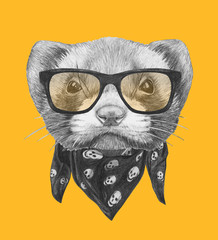 Portrait of Least Weasel with glasses and scarf. Hand drawn illustration.