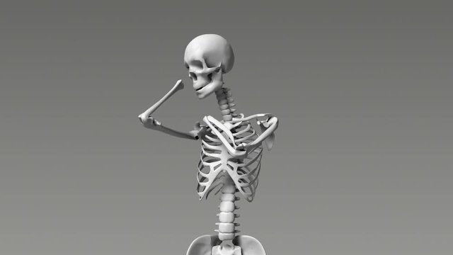 Stretching Human Skeletal