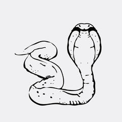 Hand-drawn pencil graphics, snake, cobra. Engraving, stencil style. 