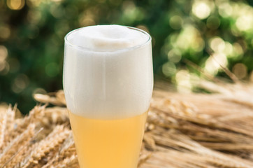 light unfiltered beer, malt, background