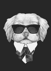 Portrait of Havanese in suit. Hand drawn illustration of dog.