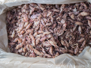 A lot of dried squid at market.