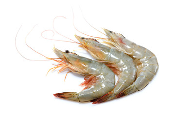 Fresh shrimps,prawns isolated on white background

