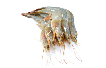 Fresh shrimps,prawns isolated on white background

