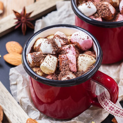 Hot chocolate with marshmallows and spices on christmas table