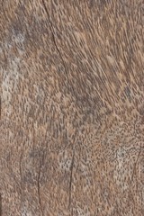 wood background