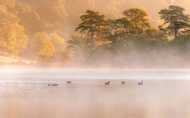 Autumn on Rydalwater