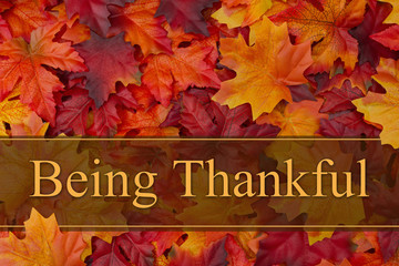 Be thankful message