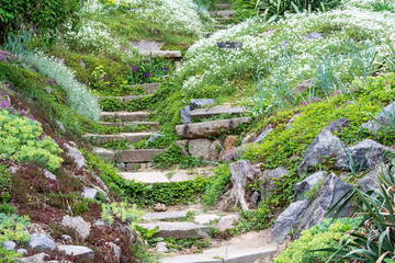 Stone steps and beautiful flowers.