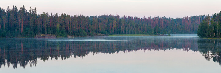 Panorama of forest lake