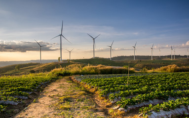 Wind turbine power generator at twilight © aee_werawan