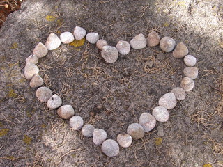 Herz aus Schneckengehäusen auf Felsen