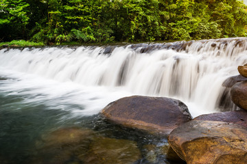 Obraz premium Creek Falls and rock in forest