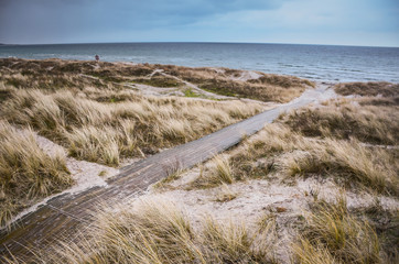 Beach of baltic sea in cold days. Original Wallpaper with soft colors. Coastal scenery with sandy beach, dunes with marram grass and rough sea on winter day.