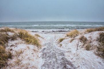 Rough autumn/winter baltic beach with sand, path and grass. Photo with gray atmosphere. Empty space