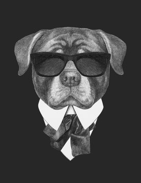 Portrait of Rottweiler in suit. Hand drawn illustration.