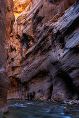 The Narrows Zion National Park