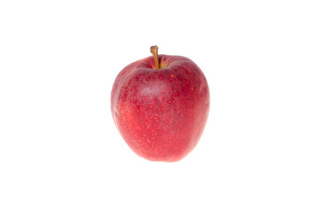 red apple on a white background