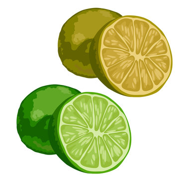 Green whole and half lime on white background