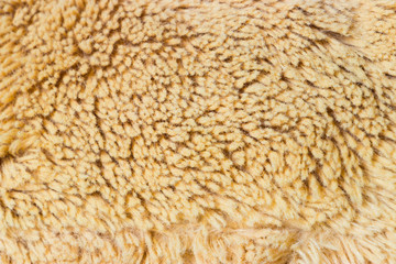 The carpet texture macro.