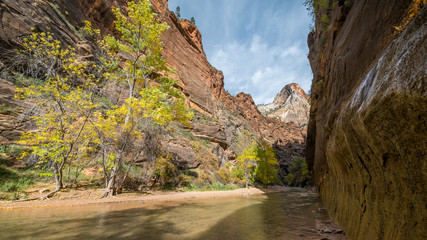 Fototapeta na wymiar Tunnel is one of the most popular areas. Virgin River in The Narrows in Zion National Park, Utah, USA