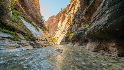 The river runs canyon wall to canyon wall. The light at the end of the narrow. Virgin River in The Narrows in Zion National Park, Utah, USA