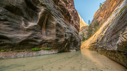 The walls are vertical and sheer, and often red in color. The river runs canyon wall to canyon wall. Amazing gorge with walls a thousand feet tall. Narrows in Zion National Park, Utah, USA