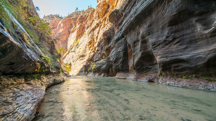 The river runs canyon wall to canyon wall. The light at the end of the narrow. Virgin River in The Narrows in Zion National Park, Utah, USA